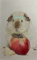 Guinea pig cards and prints