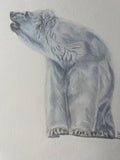 Wildlife  cards and prints