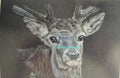 Deer cards and prints