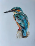 Kingfisher cards and prints