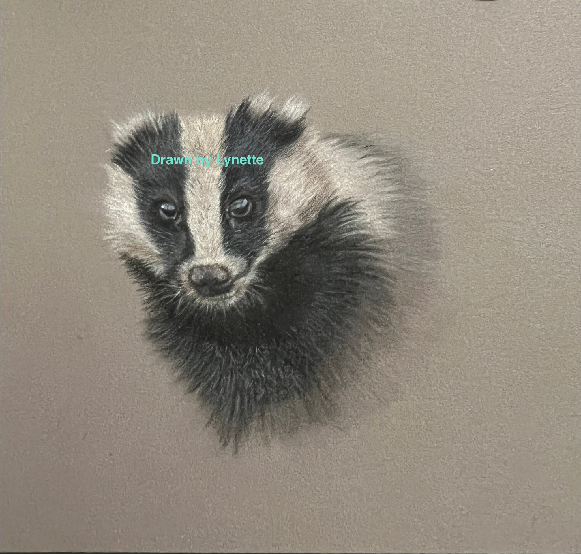 Badger cards and prints
