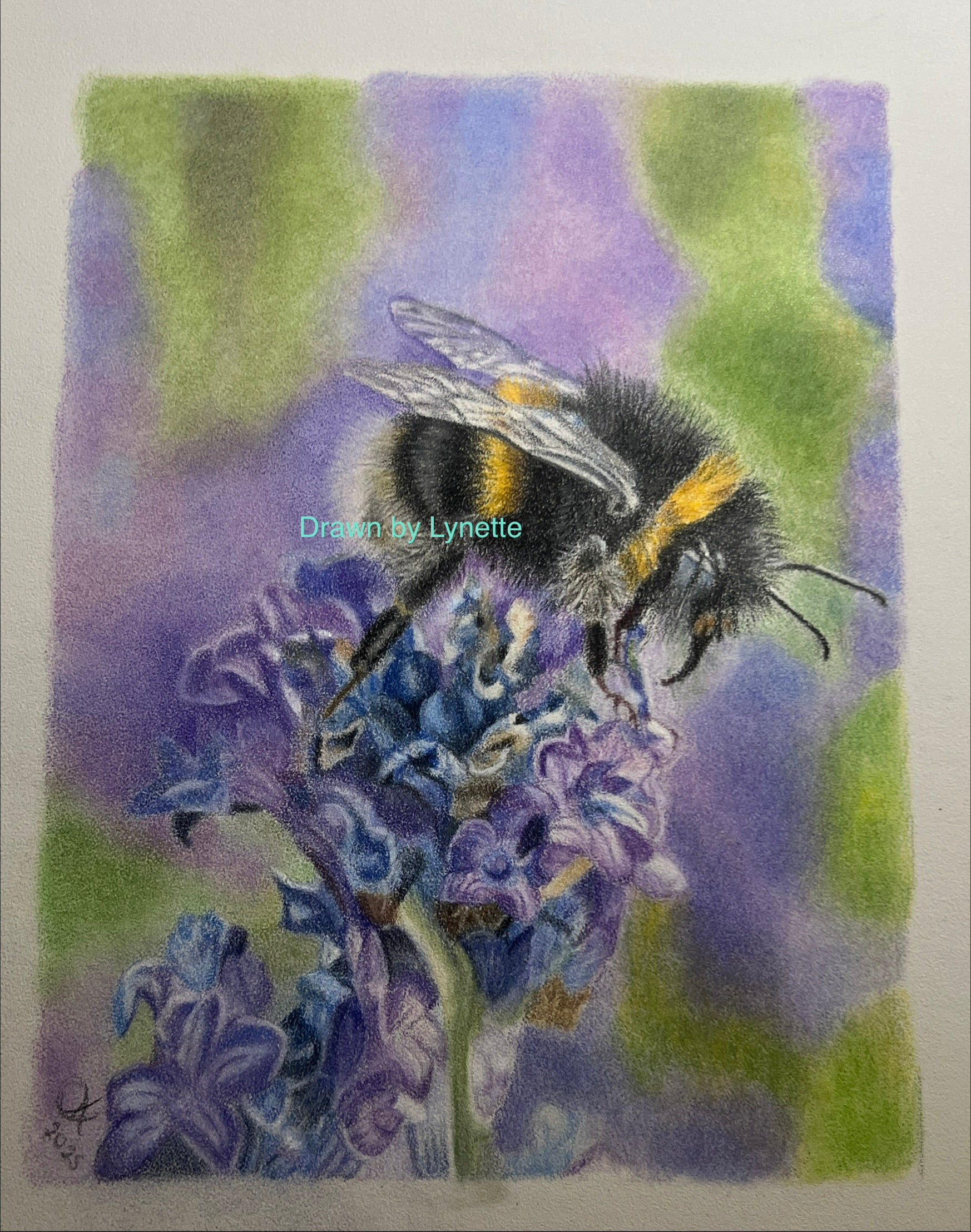 Bumble bee cards and prints