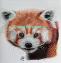 A4 Mounted Red Panda original drawing.