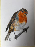 Robin greeting cards or prints