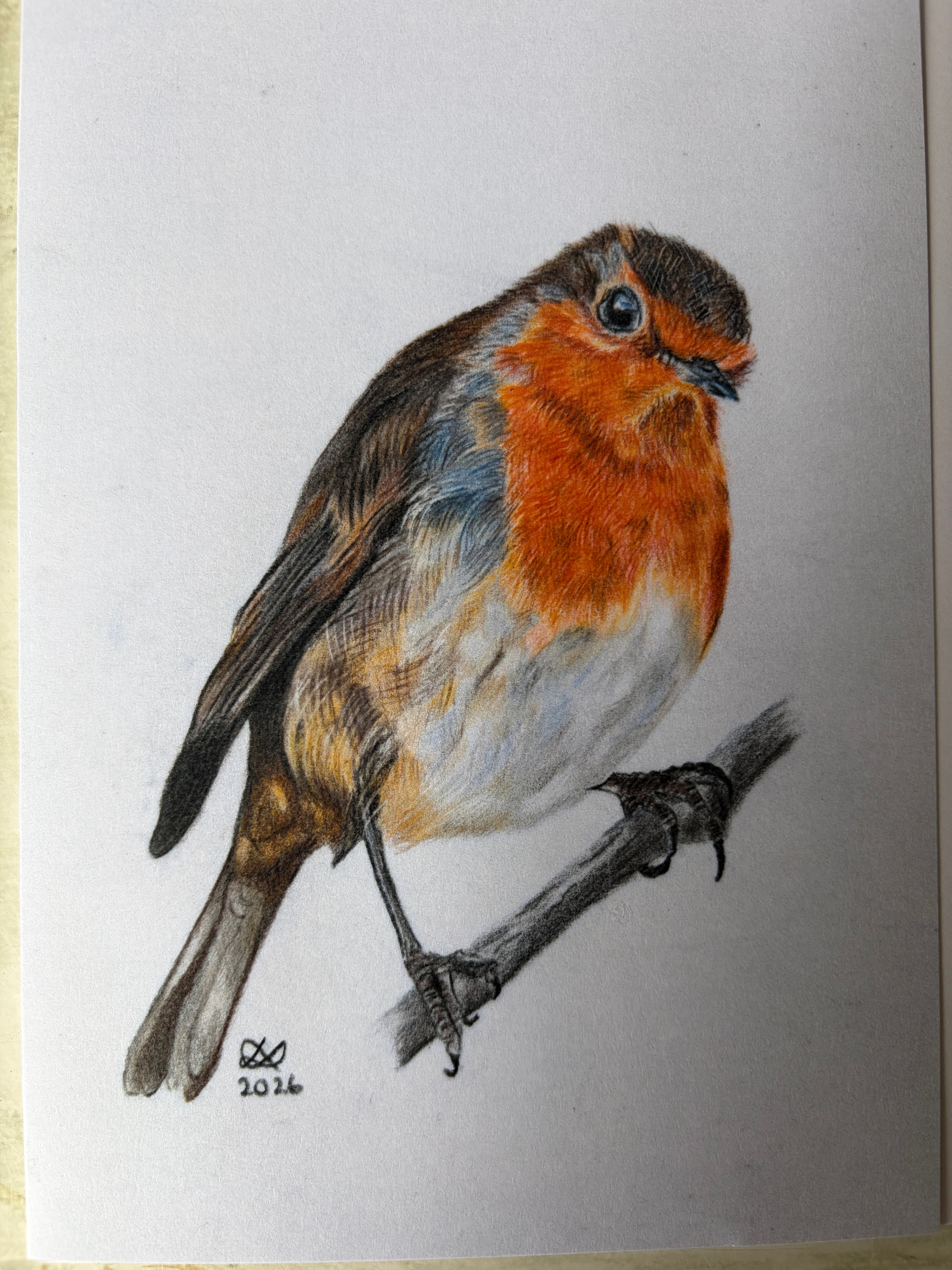 Robin greeting cards or prints
