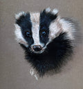 Wildlife / animal cards and prints