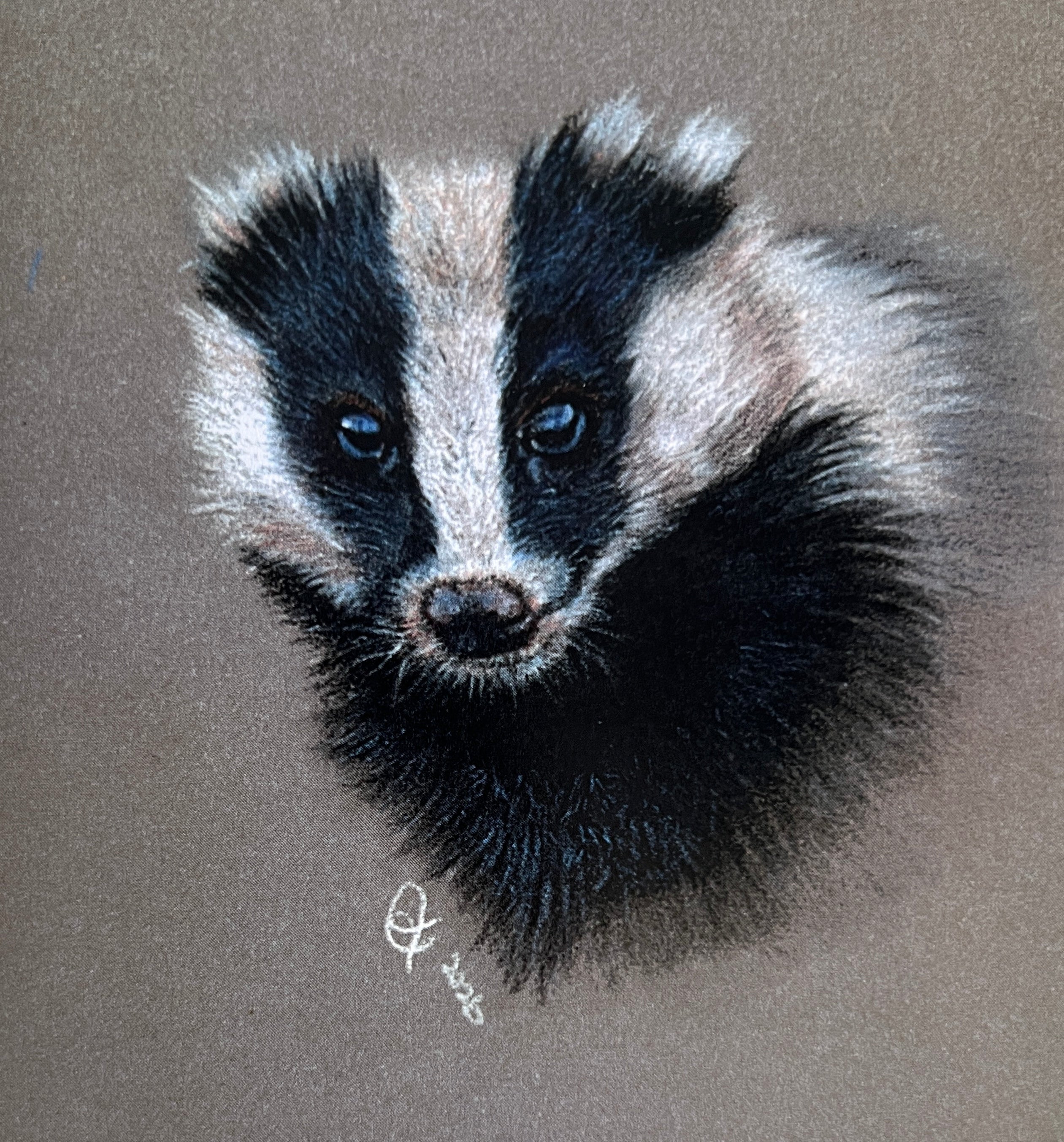 Animal / wildlife  prints
