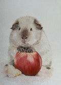 Pet /animal cards and prints