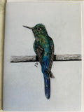 Wildlife cards and prints