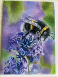 Animal / wildlife cards and prints