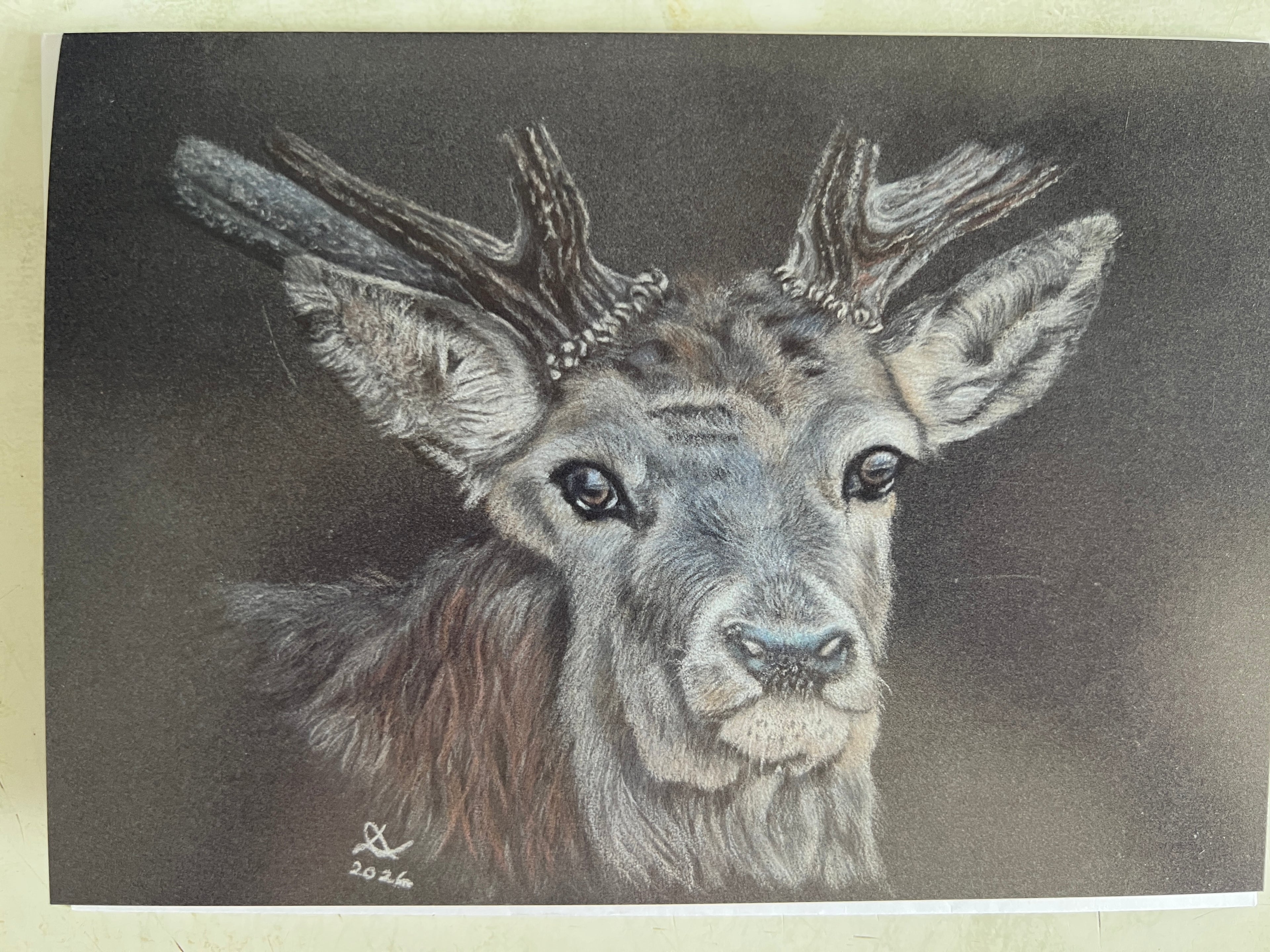 4 pack pet/ wildlife cards
